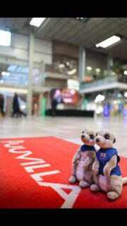 Huomenna lauantaina täällä Porissa hätänumeroviikko huipentuu Porin hätäkeskuksen järjestämään vauhdikkaaseen ja koko perheelle tarkoitettuun 112-päivän tapahtumaan! 1️⃣1️⃣2️⃣ Tapahtuma järjestetään kauppakeskus Puuvillassa klo 12-16 välisenä aikana.
Päivässä ovat mukana Porin hätäkeskuksen ja meidän lisäksi Lounais-Suomen poliisilaitos, Satakunnan hyvinvointialueen ensihoito, pelastustoimi sekä sosiaali- ja kriiisipäivystys, Rajavartiolaitos, VAPEPA/Karhuseudun etsintäkoirat, Satakunnan sydänpiiri, Liikenneturva ja turvakoti Satakunta. Sisällä on ainakin virtuaalista alkusammutusta, elvytysopastusta, pelastuskoiria ja häken maskotti Manu.
Tuu mukaan!🫶
"112 – sinun elämäsi, sinun numerosi, älä missaa sitä".
#112päivä #112dagen #112day #hätänumeroviikko #hätänumero